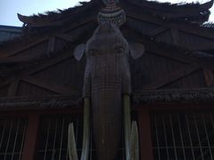 -呀路古热带植物园