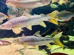 -太平洋海底世界