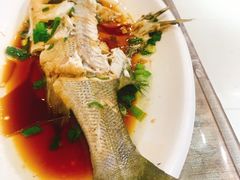 清蒸鲈鱼-大丰收海鲜酒楼·专业餐饮30年(连云港老字号店)