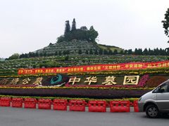 -初记正宗云吞面