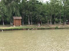 -西安浐灞国家湿地公园