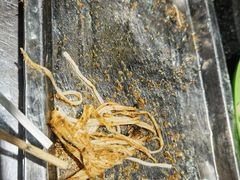 -玉园烧烤·海鲜辣炒