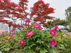 -木塔寺遗址生态公园