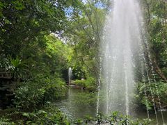 -绿光森林餐厅