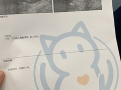 -纳吉亚猫专科动物诊疗中心(蒋宅口分院)