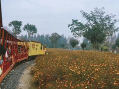 -歌斐颂巧克力小镇