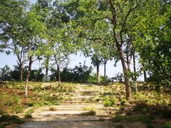 -大兴滨河森林公园