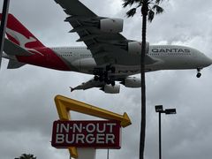 -In-N-Out Burger(LAX)