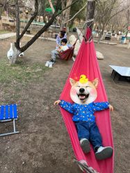 -上美四季动物农场