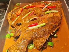 臭桂鱼王-力力渔港涉外店