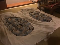 -有马温泉 竹取亭円山温泉旅馆