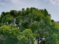 -同济大学(嘉定校区)