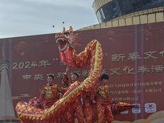 -中央广播电视塔