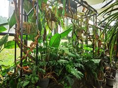 -北马山庄植趣咖啡