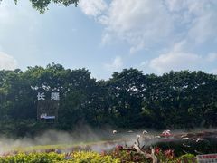 -广州长隆飞鸟乐园