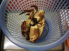 -琼大师东方烤乳猪(亚特兰蒂斯店)