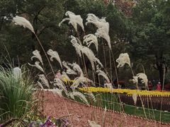 -共青国家森林公园-售票处