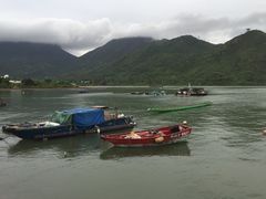 iphone_upload_pic-华都海鲜酒家