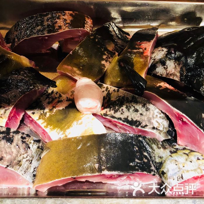 崔記老東北鐵鍋燉魚鴨綠江松花魚圖片-北京東北菜-大眾點評網