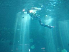 -福州罗源湾海洋世界旅游区