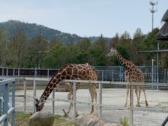 -苏州上方山国家森林公园