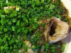 烧椒鲈鱼-尘香•传统川菜(创汇首座店)