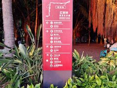 -深圳湾公园(南山区)
