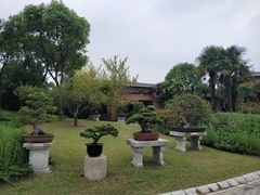 -上海海湾国家森林公园