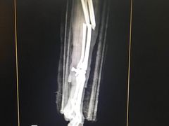 -北京赛佳动物医院