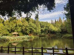 -上海滨江森林公园