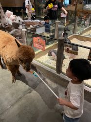 -造物庄园 萌宠纪(苏州湾歌林公园店)