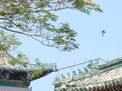 -北海公园