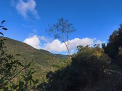 -海南霸王岭国家森林公园