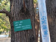 -凤凰汇购物中心
