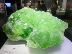 -湖南省地质博物馆