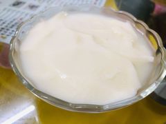 椰汁豆腐花-五福堂龟苓膏(河东北山店)
