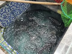 -全乐鱼馆·淳牌有机鱼直营店