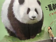 -邓记新一代糖油果子(四川煤管局供销公司职工宿舍店)