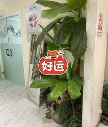 -健身堂科技美肌SPA
