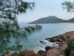 -广东惠东海龟国家级自然保护区