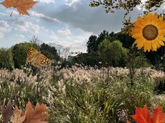 -世纪公园-世纪春沁园