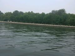 -辛玛王国游乐园