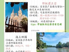 -宝安西湾红树林湿地公园