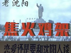 -周记老沈阳焦火鸡架