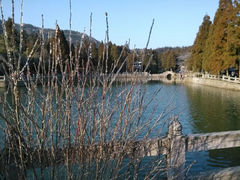 android_upload_pic-玉苍山国家森林公园