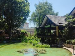 -静安公园(静安寺街道)