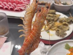 -金龙·打边炉(南京西路店)