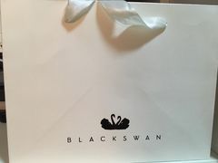 -BLACKSWAN黑天鹅(环球店)