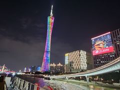 -珠江夜游省总码头