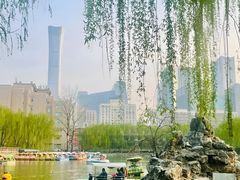 -团结湖公园